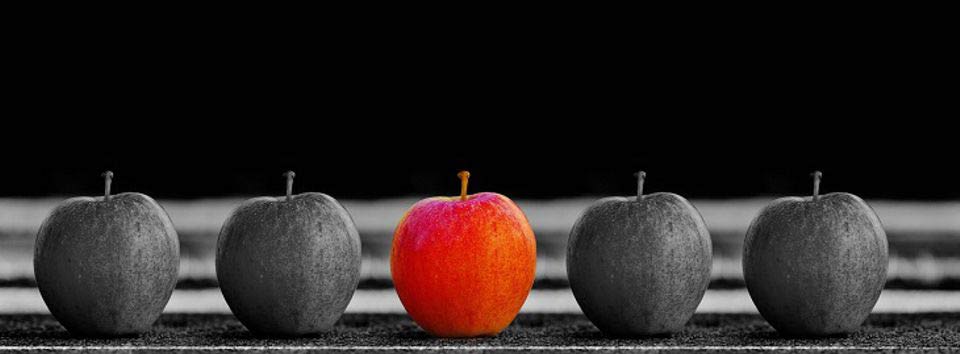 Choosing Accounting Firm